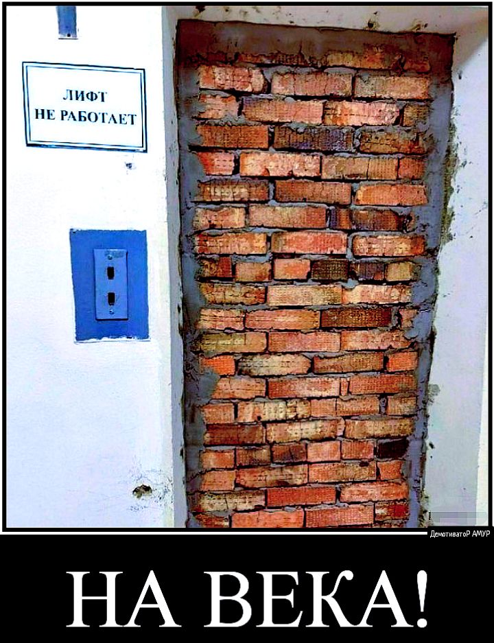 НИП дп виним гг ддшр НА ВЕКА
