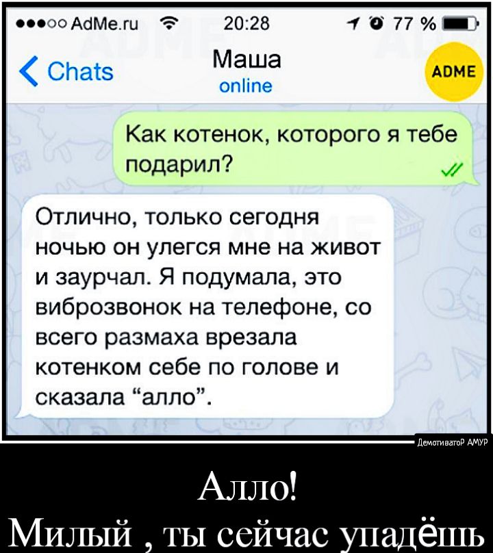 000 АсіМеги 2028 4 0 77 Січатэ Маша АВМЕ опііпе Как котенок которого я тебе подарил Отлично только сегодня ночью он улегся мне на живот и заурчал Я подумала это виброзвонок на телефоне со всего размаха врезала котенком себе по голове и сказала алло дактигивзгпд АМУР Алло Милый ТЫ сейчас адёшь