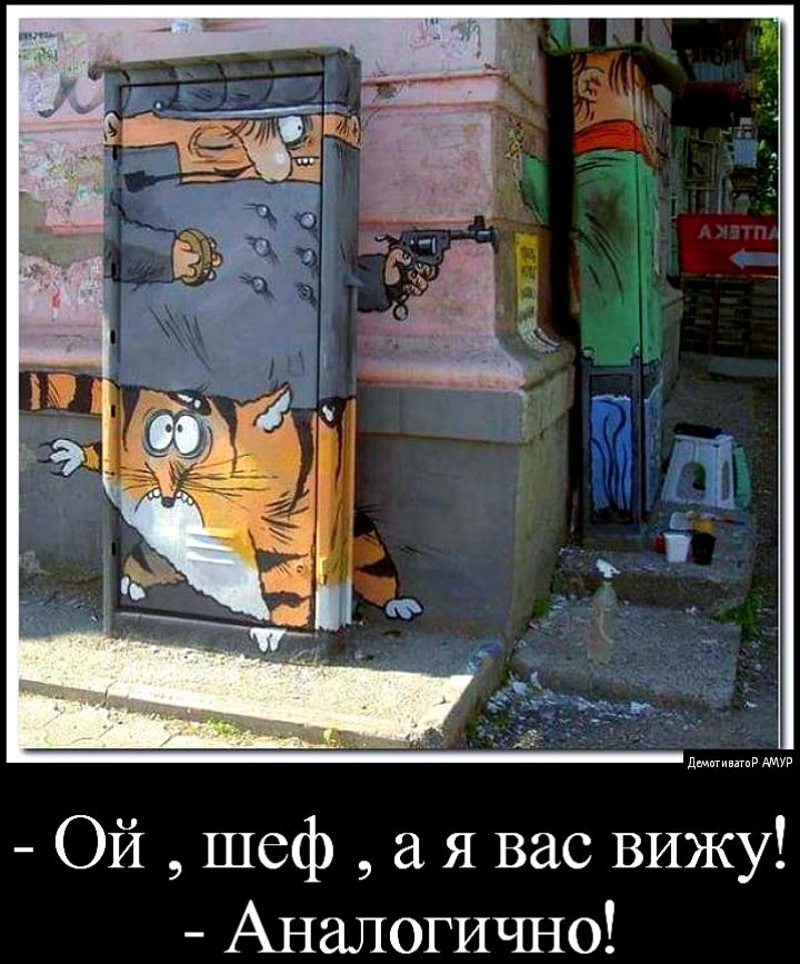 Аналогично колобки. Шеф а я вас вижу аналогично. Следствие ведут колобки шеф а я вас вижу. А Я вас вижу аналогично. Шеф я вас вижу аналогично картинки.