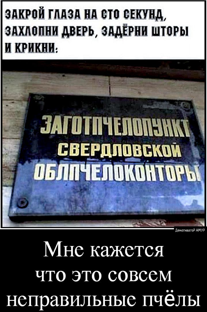 ЗАЛРВЙ ГЛАЗА Нд БТО ВЫШЛА ЗдХдОПБИ АВЕН ЗЦЁРНИ ШТОРЫ КРПКШЬ Ё змшпчшпшшм сввупппввкпи БЛПЧЕЛЁКШПШЪ Мне кажется что это совсем неправильные пчёлы