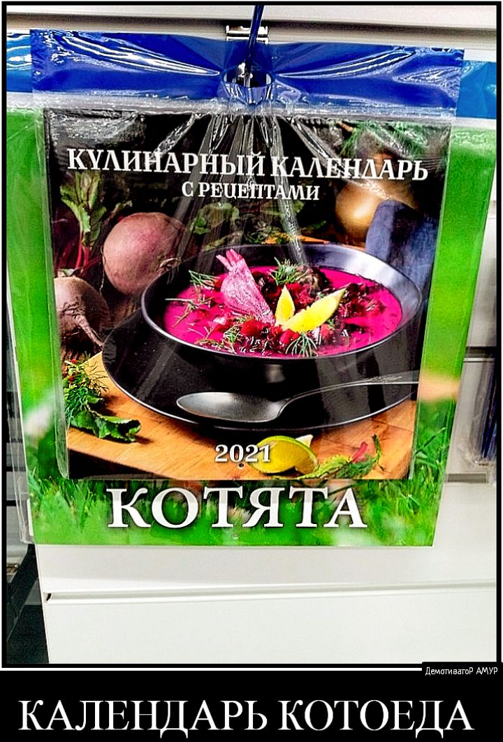 демигиватв АМУР КАЛЕНДАРЬ КОТОЕДА