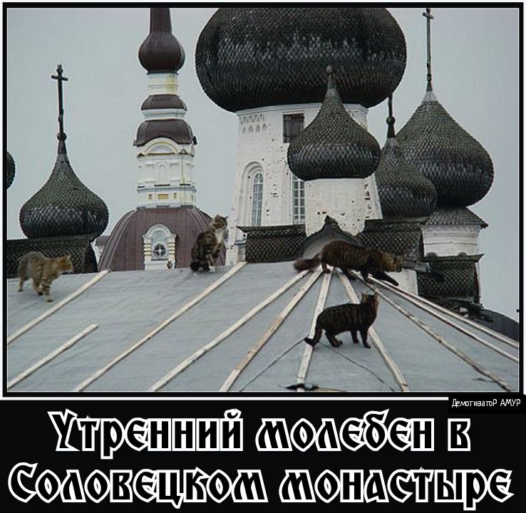 ШШЁ Ё аюнцме шсеіщрё
