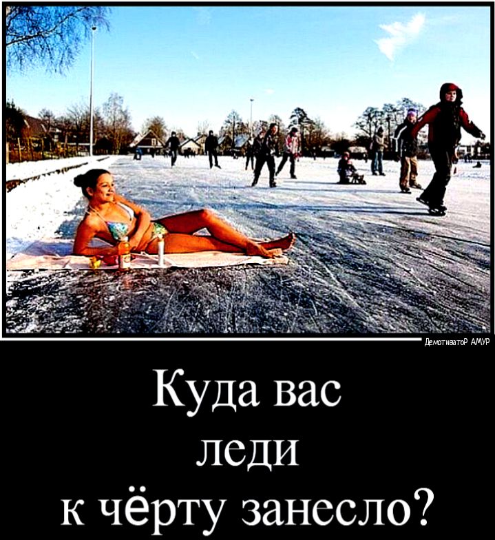 Куда вас леди к чёрту занесло