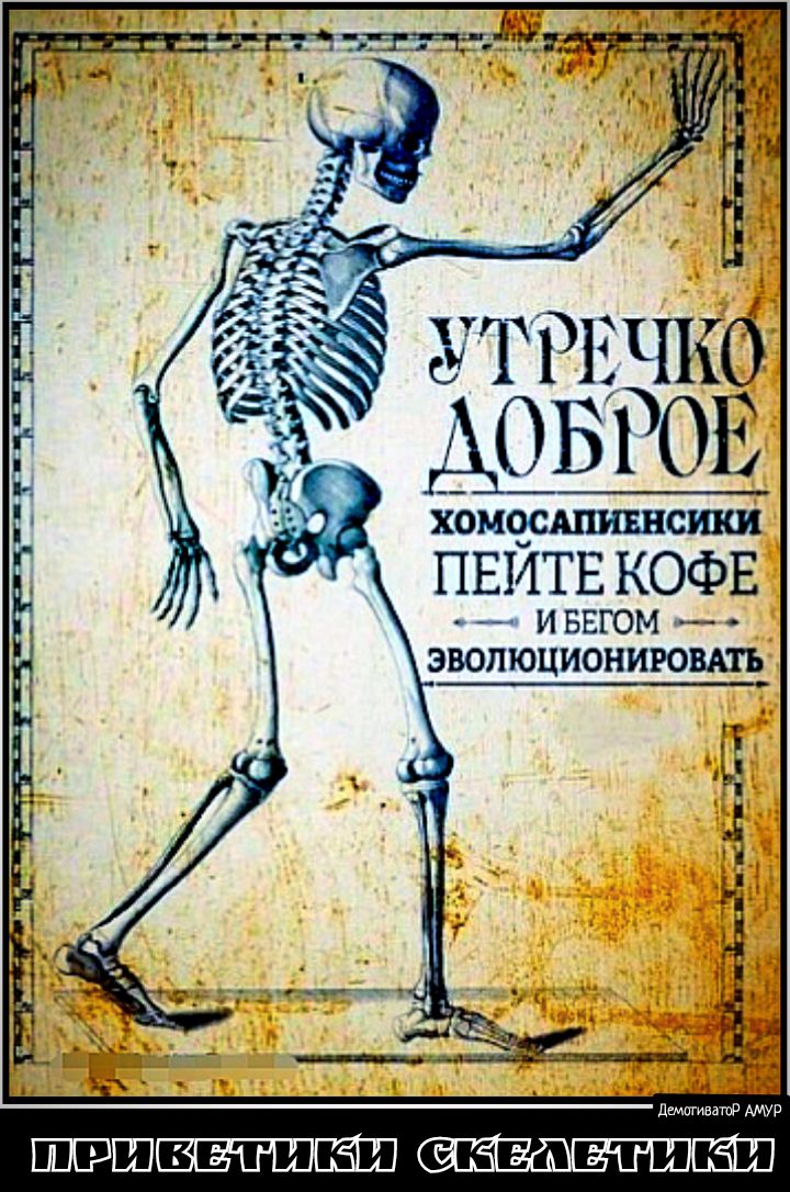 к утт3гшо А0Б10Е ХОМОСАШШЦСШ ПЕЙТЕ КОФЕ и ввгом _ эволюциониювмь