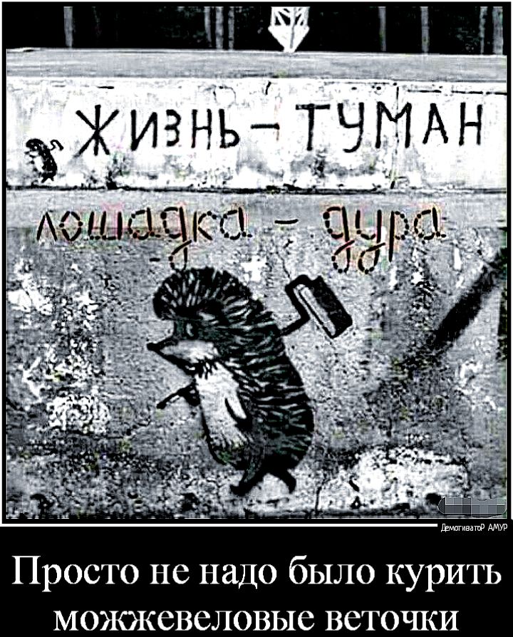 Жизнь ТЧМАН Мотма Просто не надо было курить можжевеловые веточки