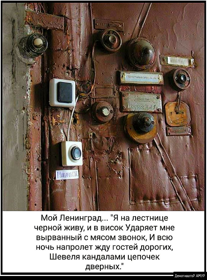 Мой Ленинград Я на лестнице черной живу и в висок Ударяет мне вырванный с мясом звонок И всю ночь напролет жду гостей дорогих Шевеля кандалами цепочек дверных дмщивдтв АМУР