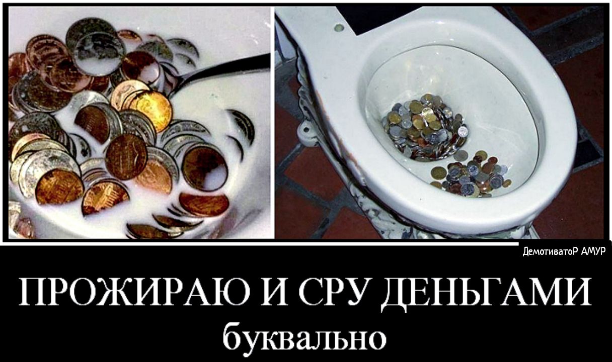 ДемотиватоР АМУР ПРОЖИРАЮ И СРУ ДЕНЬГАМИ буквально