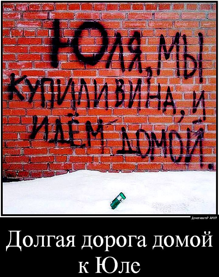 д АМУР Долгая дорога ДОМОЙ к Юле