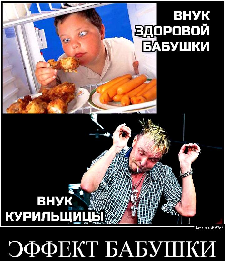 Быт ЭФФЕКТ БАБУШКИ