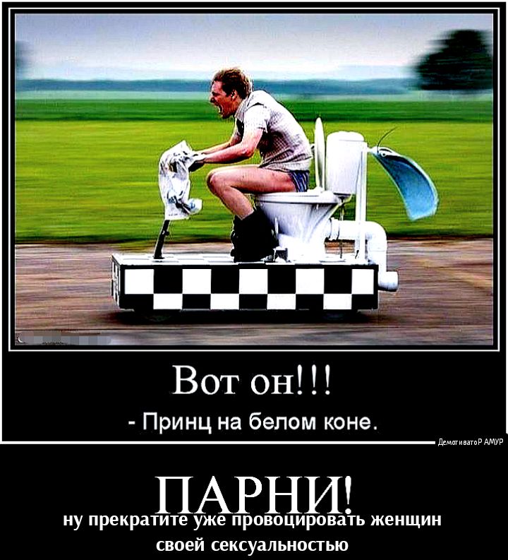 Вот он Принц на белом коне ПАРНИ ну прекратите уже провоцировать женщин своей сексуальносгью дгмвгивпгпР АМУР