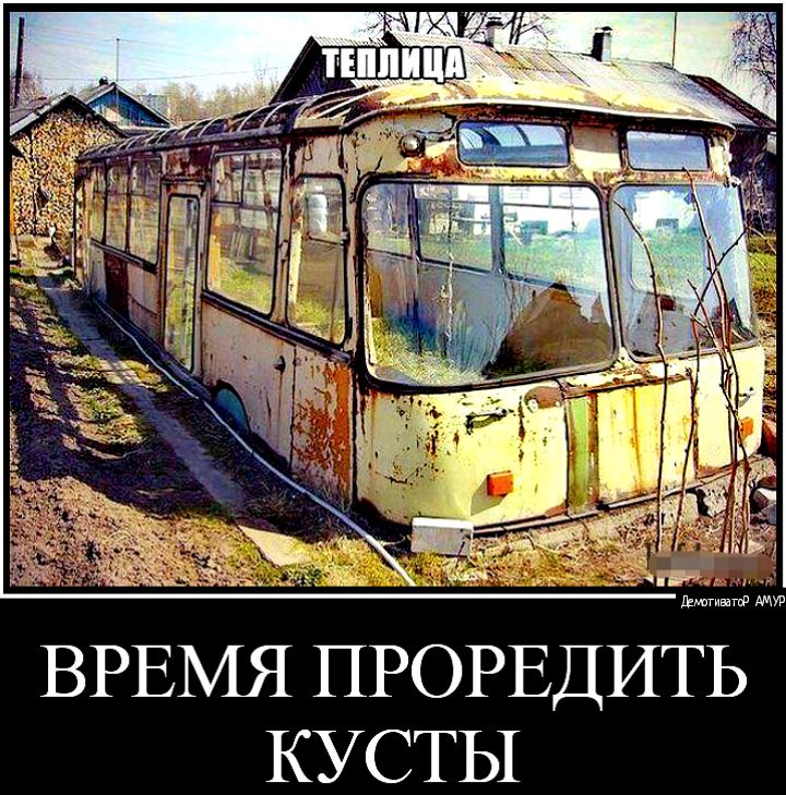 ВРЕМЯ ПРОРЕДИТЬ КУСТЫ