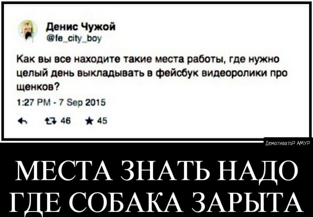 денис Чужой е сну по Как вы все находите такие места работы где НУЖНО целый день выкладывать в фейебук видеоролики про щенков 127 РМ 7 Бер 2015 3 46 45 МЕСТА ЗНАТЬ НАДО Г Д СОБАКА ЗАРЫТА