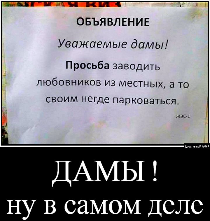 ОБЪЯВЛЕНИЕ Уважаемые дамы Просьба заводить любовников из местных а то своим негде парковаться жэк 1 ДАМЫ НУ В СМОМ Деле