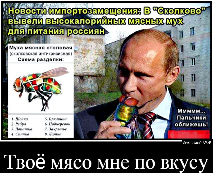 Муха мясная столовая сходненская антикризисная Схема разделки ш Пальчики чт оближешь тн л к А дишгивагоР АМУР Твоё мясо мне по вкусу