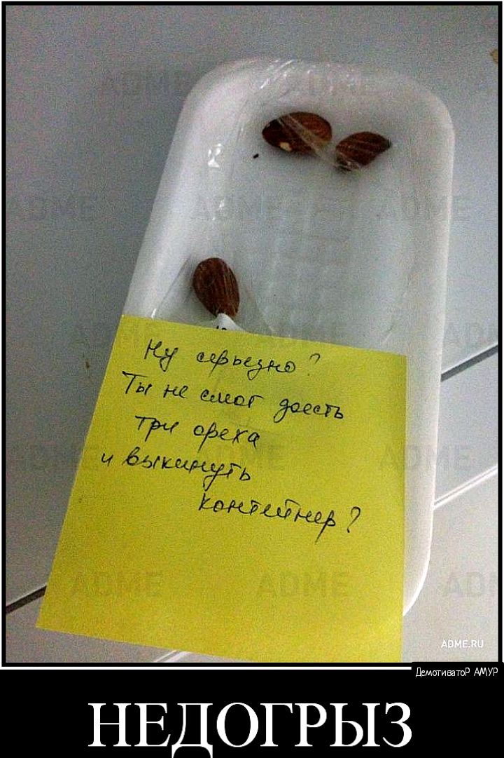 дщигиватд АМУР НЕ ОГРЫЗ