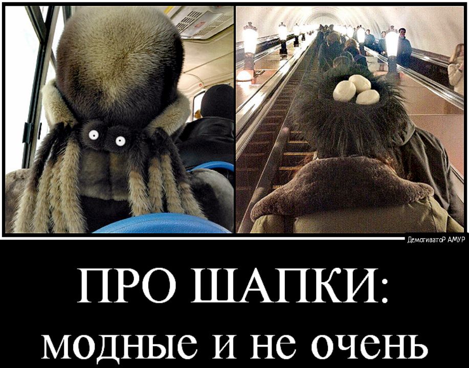 ПРО модные И не очень