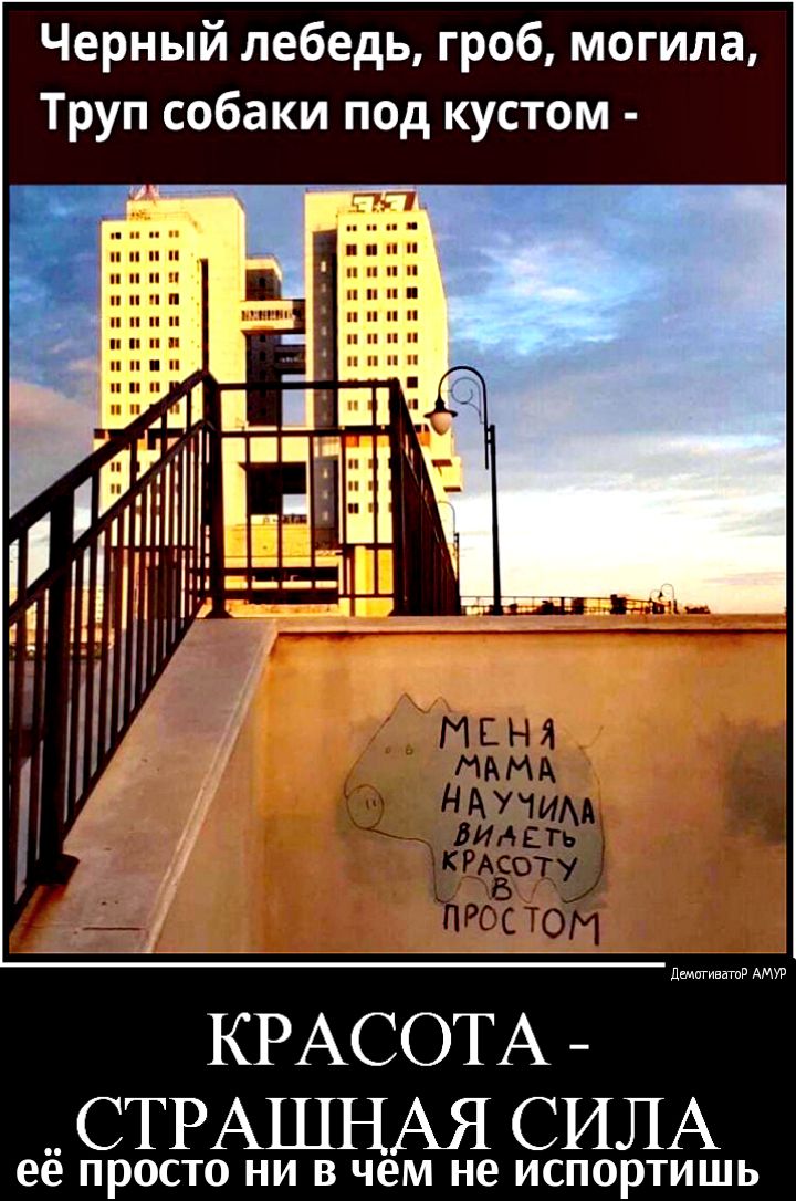 Черный лебедь гроб могила Труп собаки под кустом 1 Ё П Н А 741 _ _ КРАСОТА СТРАШНАЯ СИЛА ее ПРОСТО НИ В чем не ИСПОРТИШЬ