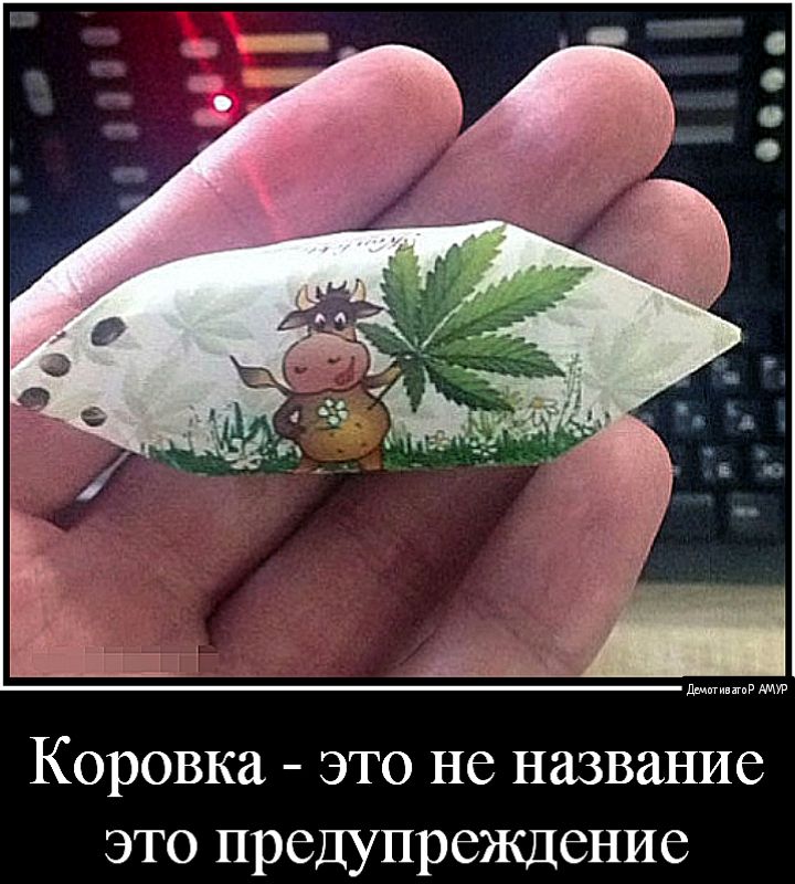 пищрмтв Коровка это не название это предупреждение