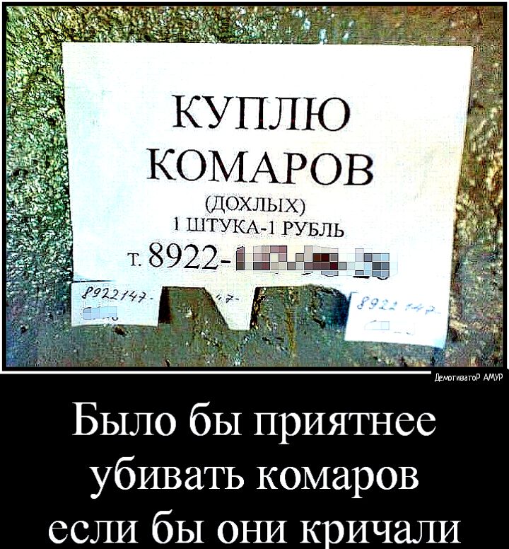 КУПЛЮ КОМАРОВ ДОХЛЫХ 1 ШТУКА1 РУБЛЬ ы Было бы приятнее убивать комаров если бы оша кричали