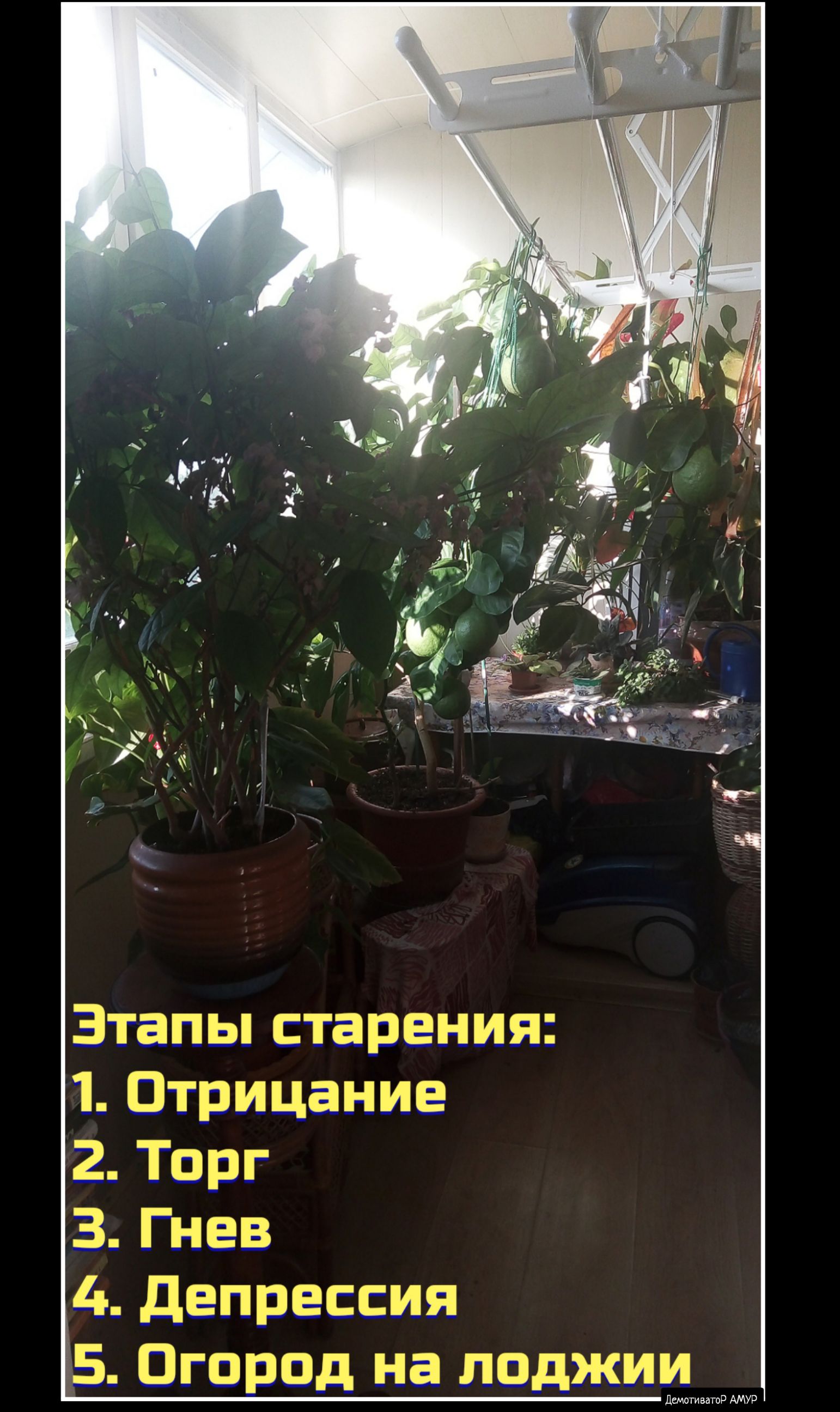 ЁЦЁЦ ШШ эт _г тиватиР АМУР