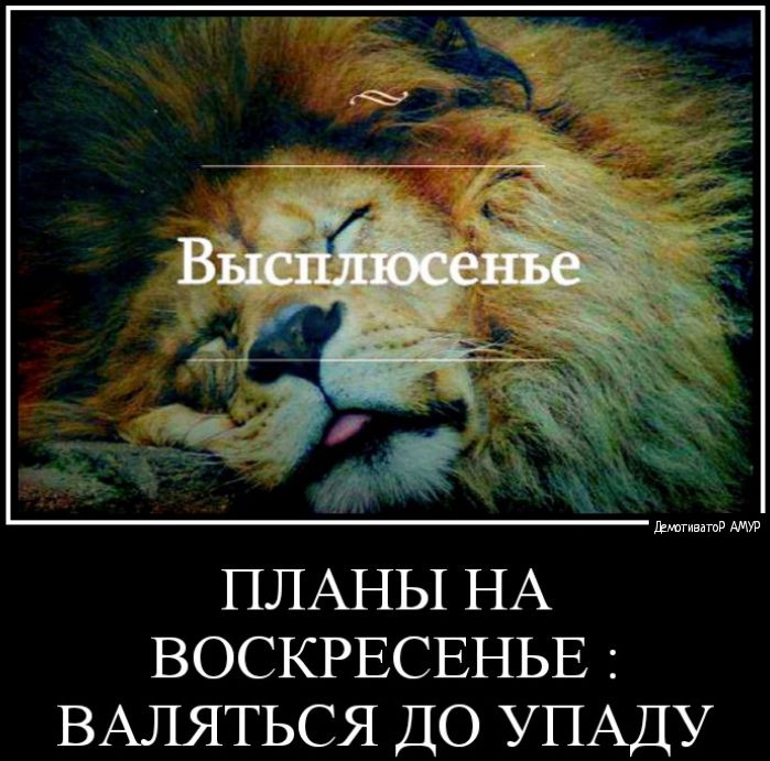 ПЛАНЫ НА ВОСКРЕСЕНЬЕ ВАЛЯТЬСЯ ДО УПАДУ