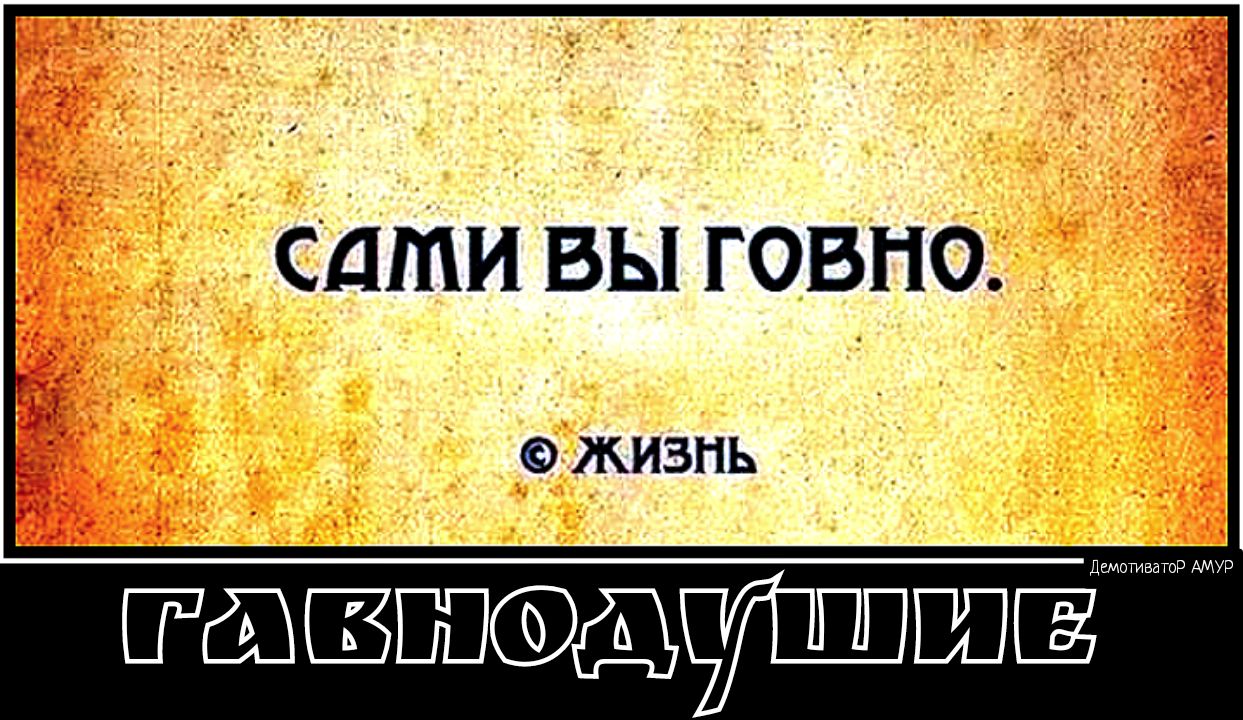 сдти вы говна _ ЖИЗНЬ р АМУР