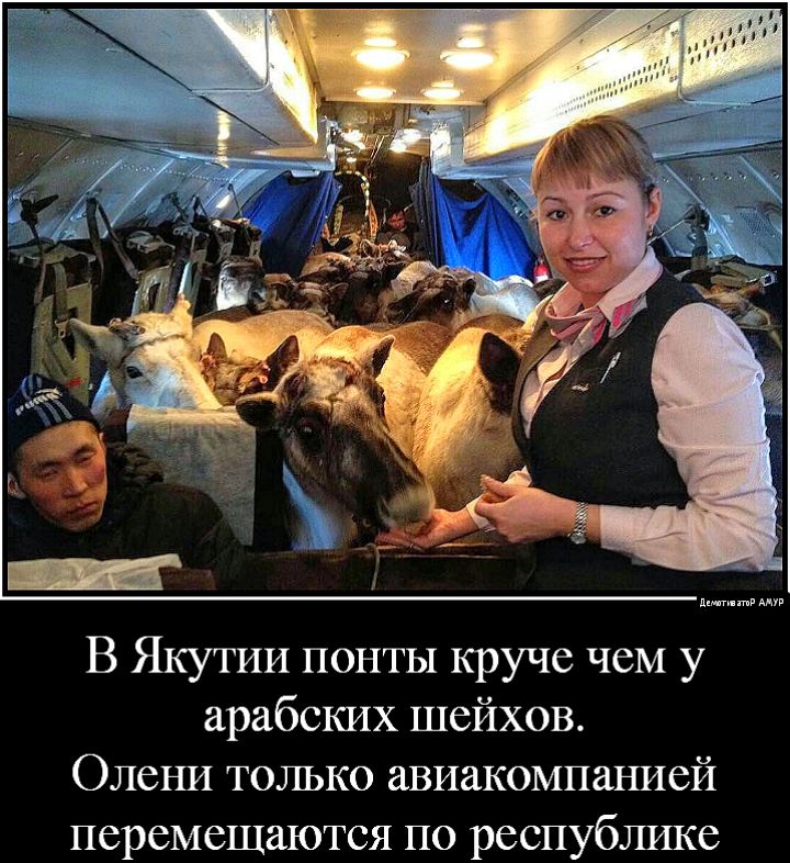 д в В Якутии понты круче чем у арабских шейхов Олени только авиакомпанией перемещаются по республике