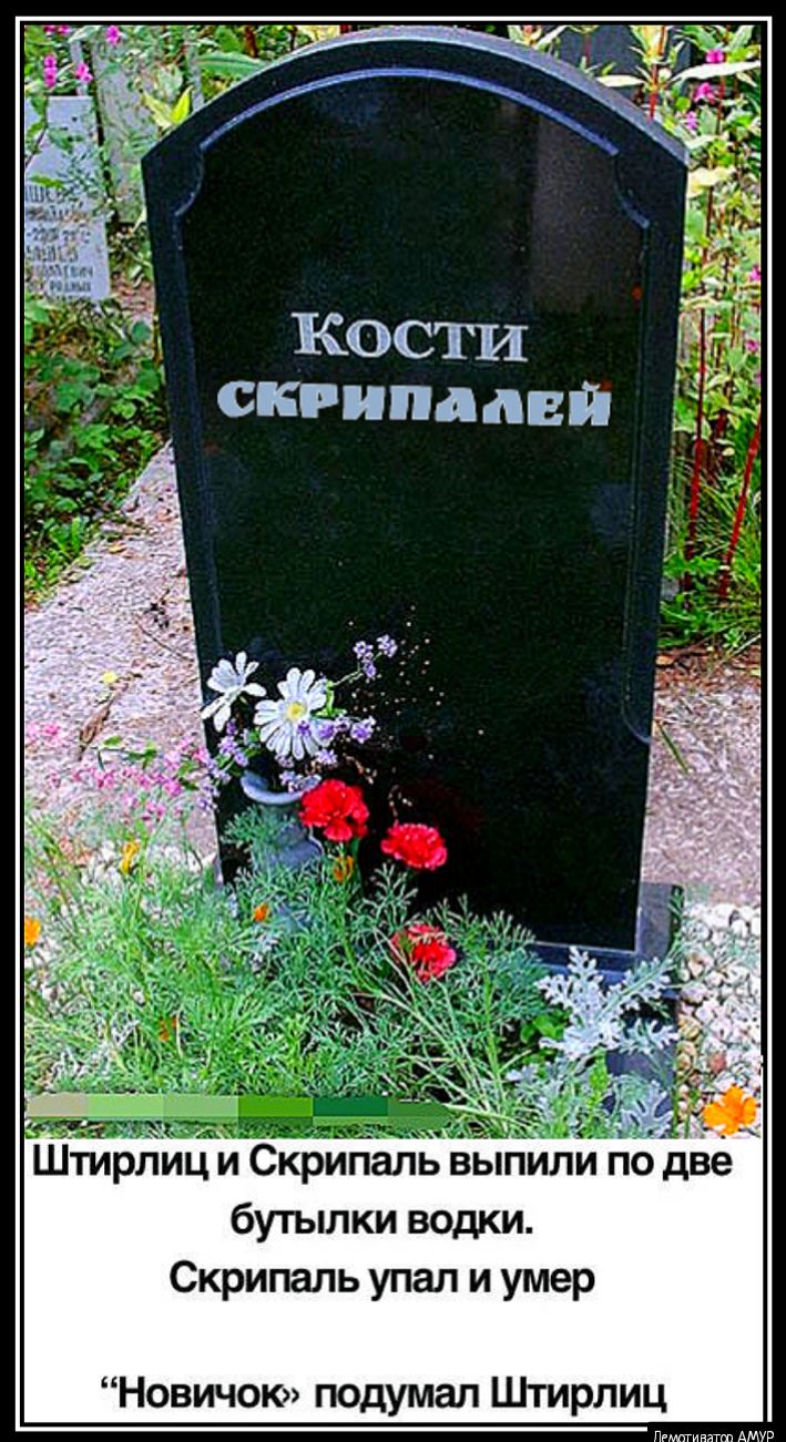 ски падай Штирлиц и Скрипаль выпили по две бутылки водки Скрипаль упал и умер Новичок подумал Штирлиц Пгштгинягт АМУР