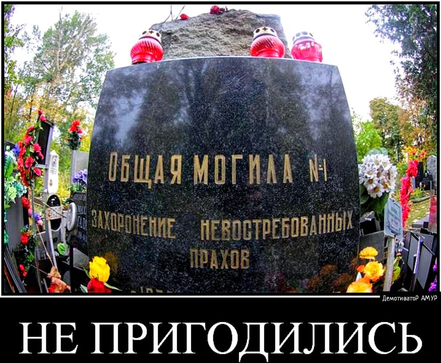 димтгивдтд АМУР НЕ ПРИГОДИЛИСЬ
