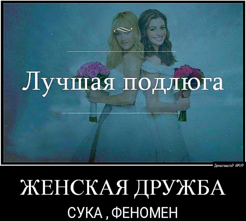 Лучшая подлюга СУКАФЕНОМЕН