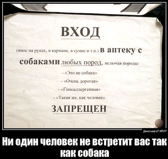 вход шп пл щ 1 и х В аптеку С собака Піцюбьп порки Мы п на д 1 чкп АПРЕЩЕН З ди И один человек не встретит вас так как собака