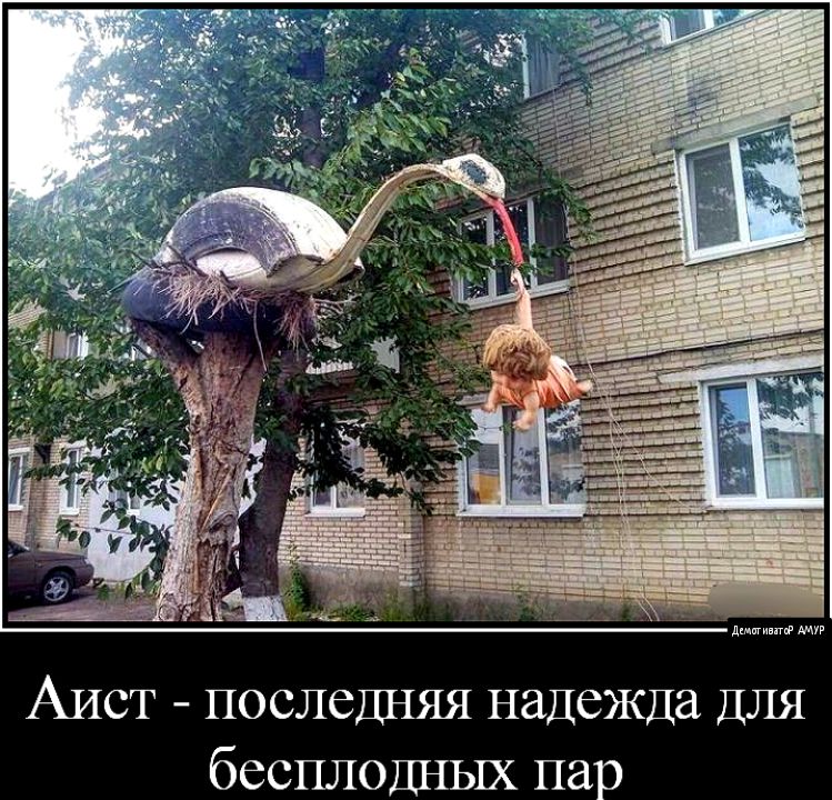 Аист последняя надежда ДЛЯ бесплодных пар