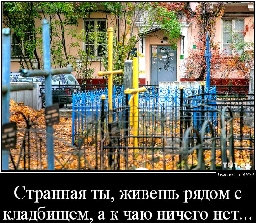 Дмпгивнгй АМУР ЭКИВСП1Ь РЯДОМ С а К ЧЗЮ НИЧСГО НСТ Странная ты кладбищем
