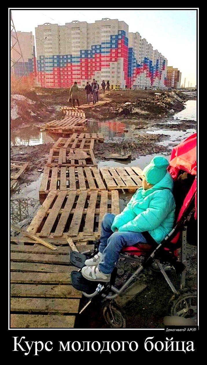 дмииватд АМУР йца Курс молодого бо