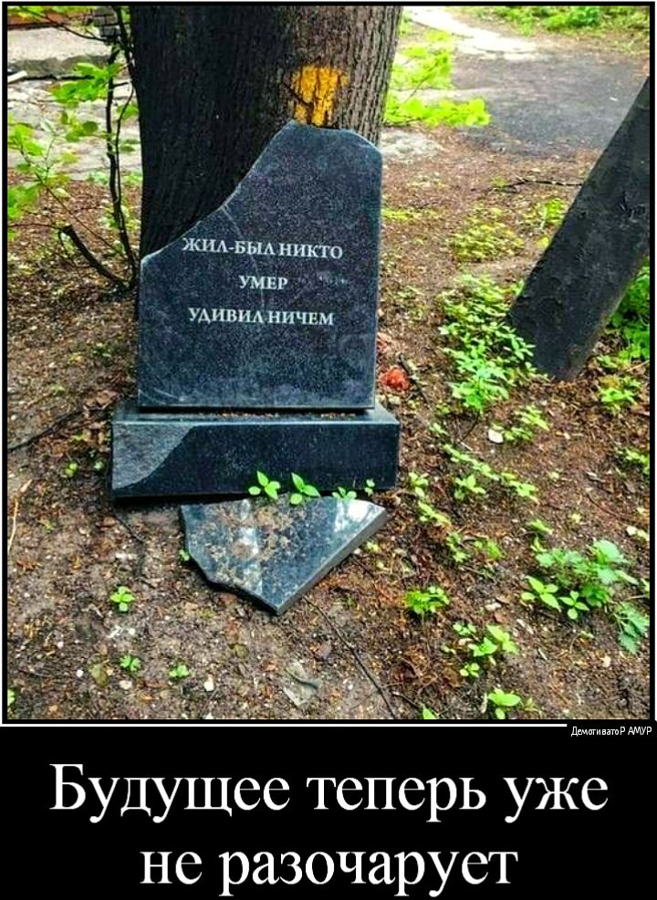 да Будущее теперь уже не разочарует