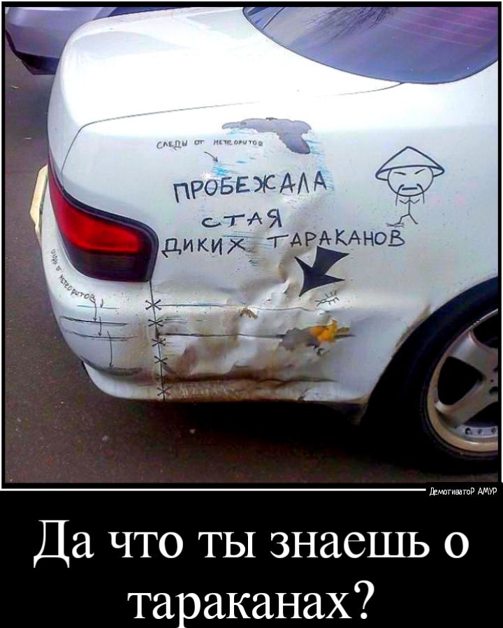 РО БЕ Ж А А С ТАЙ _А 4р_ики_ ГАРАКАНОБ Шмагиватв Да что ты знаешь о тараканах