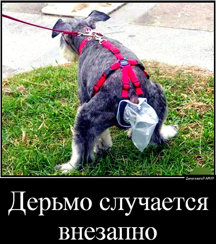 Дерьмо случается внезапно