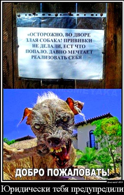 нччнкпппошшш пмк нгиппшсп ппьп гчго нн ВНП1ГЧТАЕ и ншпыть СЕБЯ Юридически тебя_а предупредили