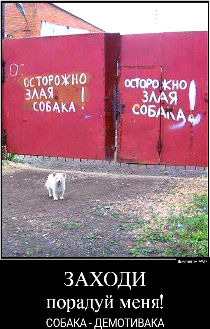 1 314 З дашгнвигш порадуй меня ЕМ ОТИ ВАКА