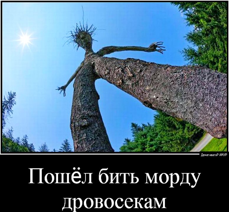 Пошёл бить морду дровосекаМ