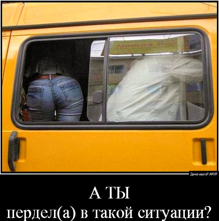 А ТЫ пердела В такой ситуации