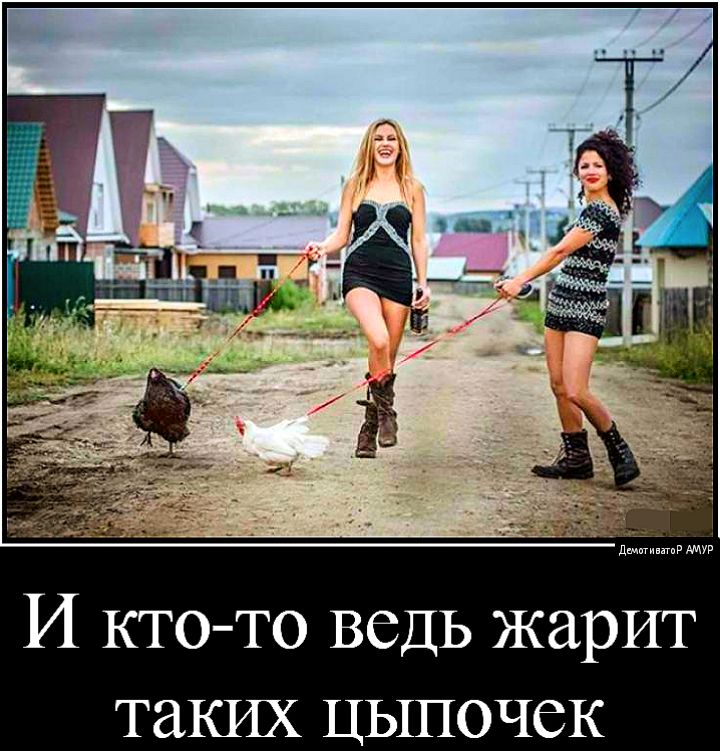 И КТО ТО ВСДЬ ЖЗРИТ таких ЦЫПОЧСК