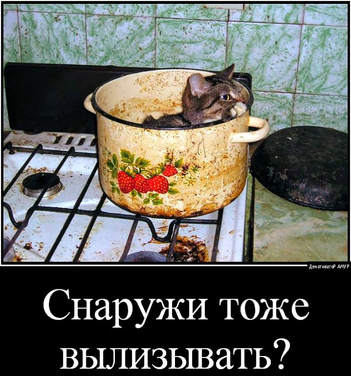Снаружи тоже вылизывать