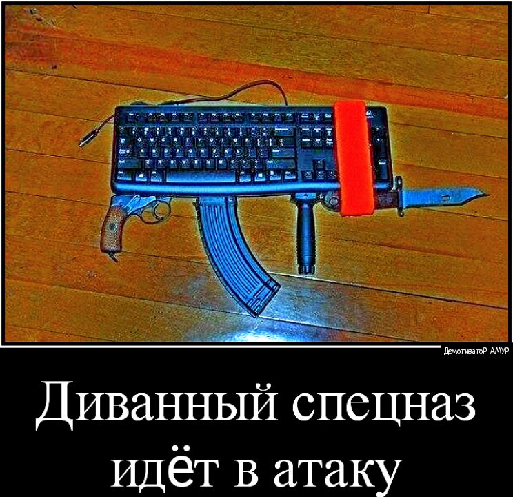Диванный спецназ Идёт В атаку