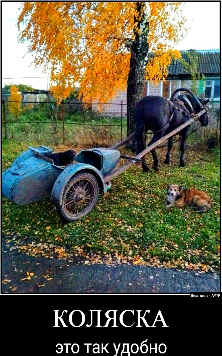 КОЛЯСКА это так удобно