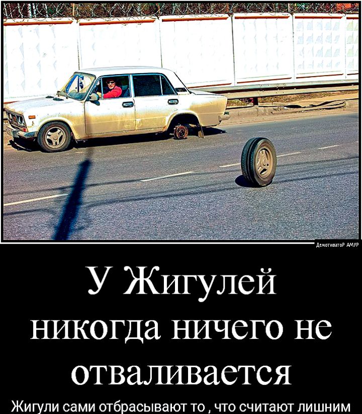 У Жигулей никогда ничего не отваливается ЖИГУЛИ сами отбрасывают ТО ЧТО считают ЛИШНИМ