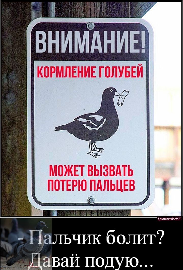 внимниы Пальчик болит авай под Ю