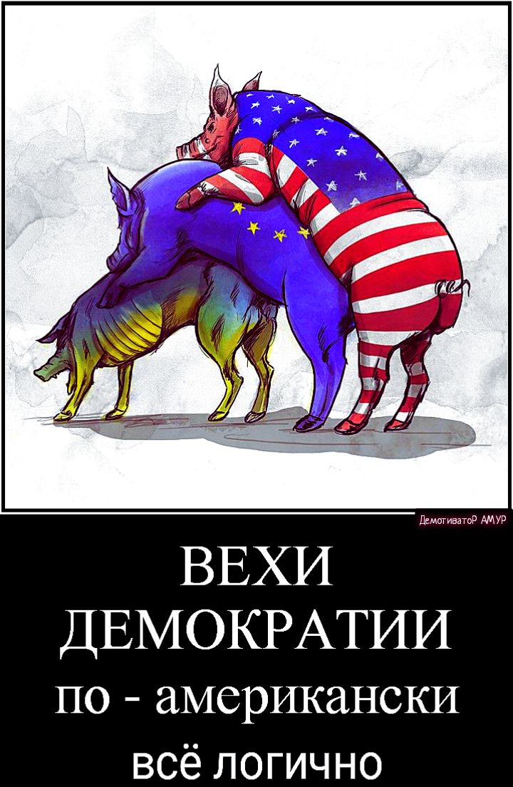 ДЕМОКРАТИИ по американски всё логично