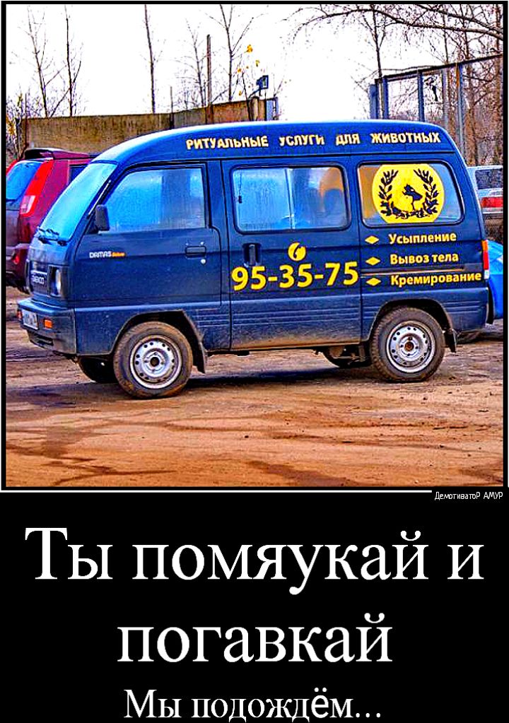 Лгивдшв ТЫ помяукай И погавкай Мы подождём