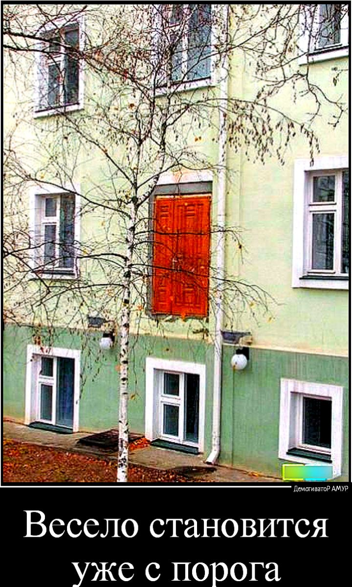 демигиватиР АМУР Весело становится